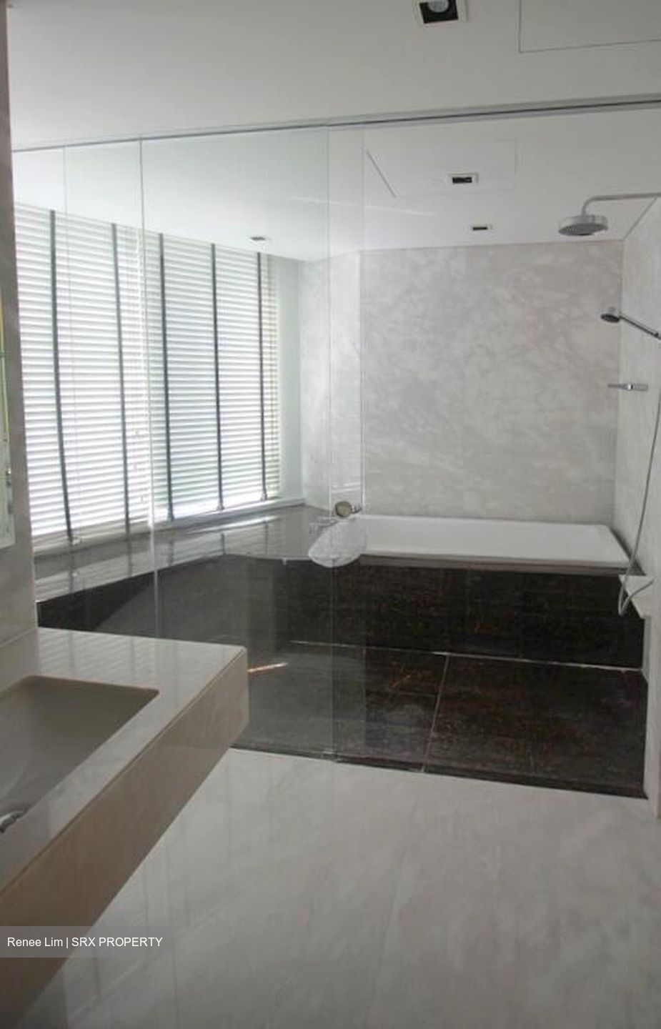 St. Regis Residences (D10), Apartment #521128031